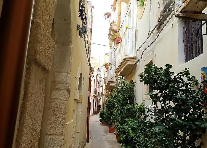 Krokos Ortigia *