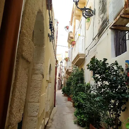 Krokos Ortigia *