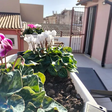 Krokos Ortigia Holiday home